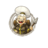 Avatar de Kiwi